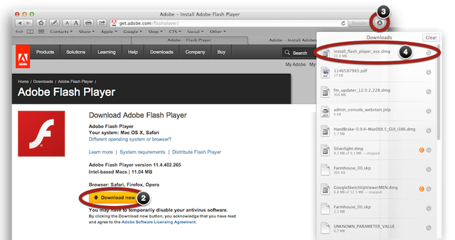 how to put a flash player on your website